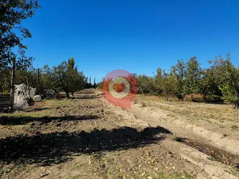 Chacra en Venta,frente a ruta N°65,Fdez Oro
