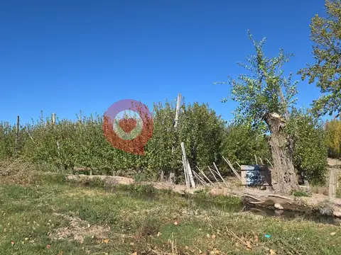 Chacra en Venta,frente a ruta N°65,Fdez Oro