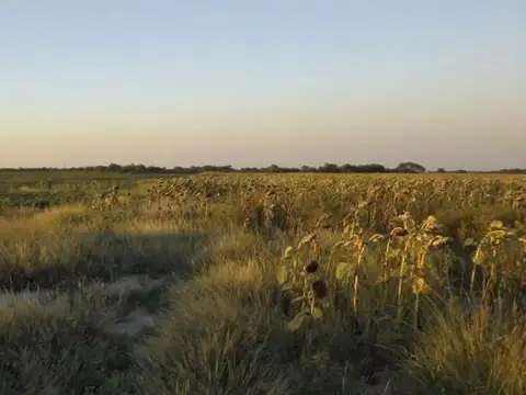 VENTA CAMPO MIXTO AGRÍCOLA-GANADERO 879hc.