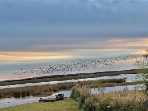 Terreno en Venta 66,44  mts Frente