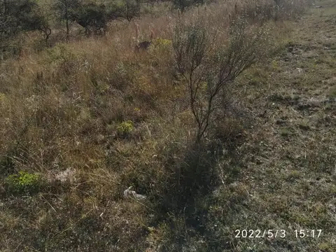 Terreno en Venta 40  mts Fondo