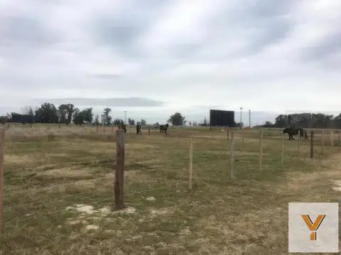Terreno en Venta 66  mts Fondo