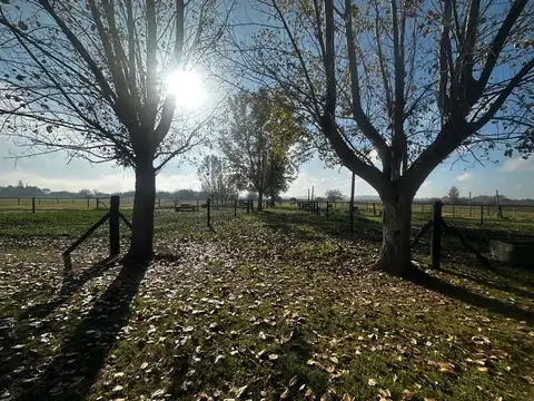 Campo en Venta Chacra
