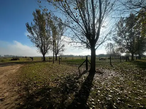 San Andres De Giles 100