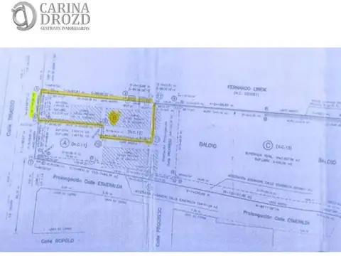 Calle Tirasso 2011, 100