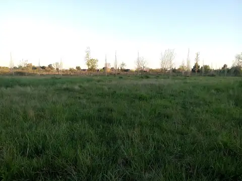 Campo de 10HA en venta en Calle 621 y 31