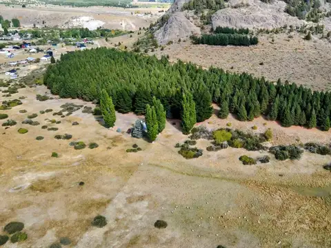 Av. Primeros Pobladores