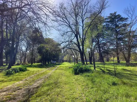 CAMPO EN VENTA
