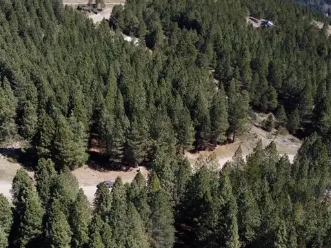 RUTA 40 2227 SAN MARTIN DE LOS ANDES NEUQUEN