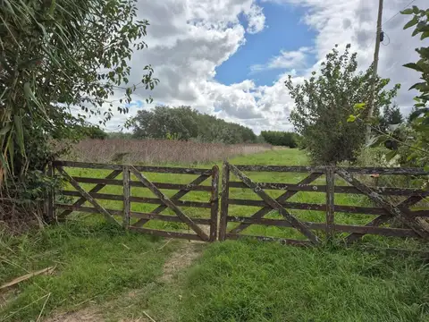 CAMPO EN VENTA ARANA 16 HECTAREAS