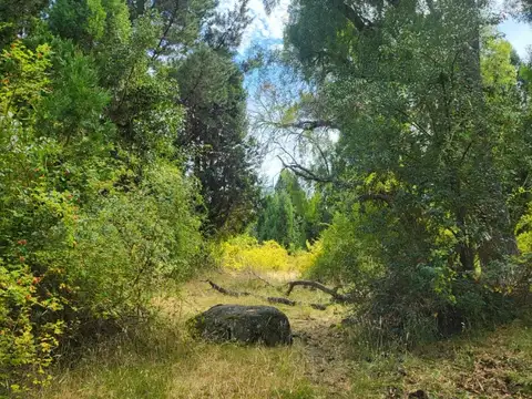 Campo en Venta de 64  ha