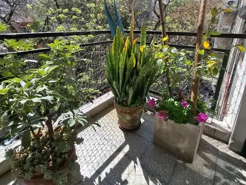 4 Ambientes al Frente, Todo Luz en PALERMO  