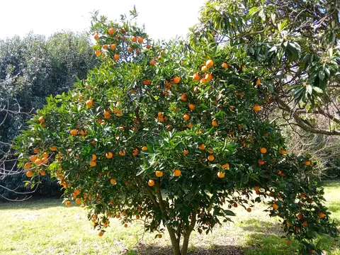 Quinta en Venta de 5 dormitorios