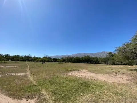 Terreno en Venta de 10000,0 m2