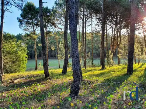 Terreno en Venta 24,35  mts Frente