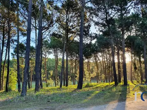 Terreno en Venta en Alamos 2, USD 120.000