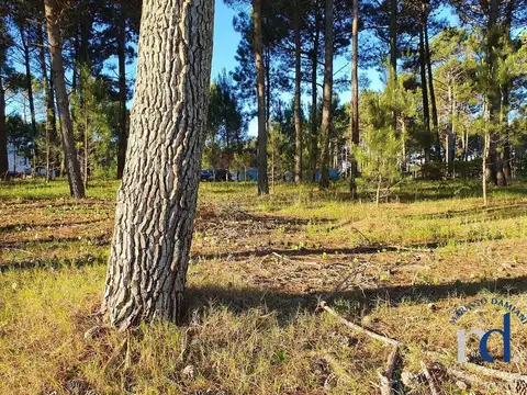 Terreno en Venta de 974,0 m2