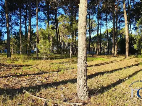 Lote en Venta en Pinamar Isla del Golf