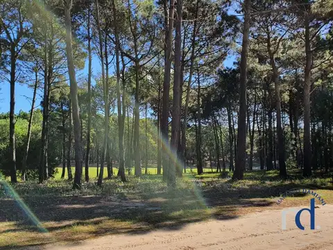 Isla del Golf 100