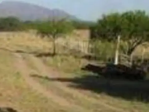 5000 Hectáreas Agrícola ganadero frente a Ruta 47