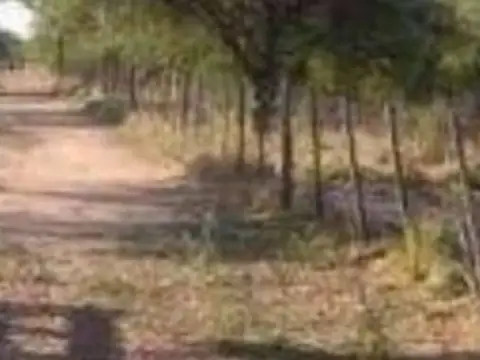 Ruta 47