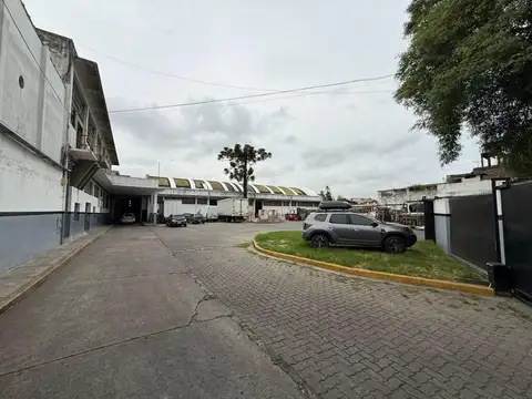 Emilio Mitre 1031