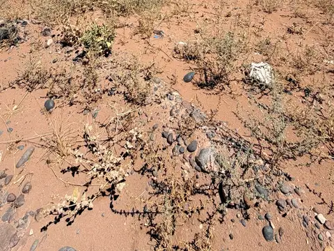 Galpon en Venta en Añelo, USD 320.000