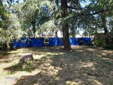 ARRIBEÑOS 3900