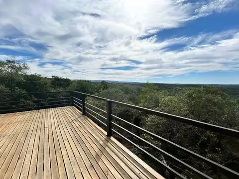 De los Cactus 100