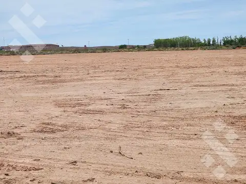 Terreno en Alquiler de 5000,0 m2