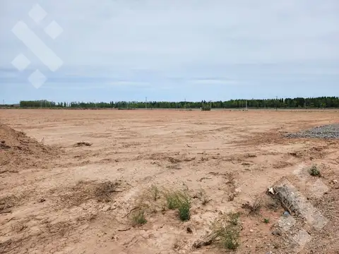 Terreno en Alquiler en Añelo, USD 3.000
