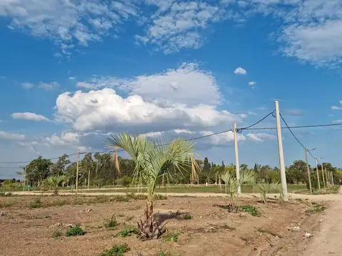 Venta Terreno Longchamps - Lote Barrio "La Arbolada"