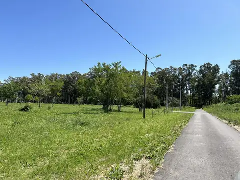 Terreno en Venta 12  mts Frente