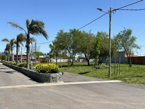 Terreno en Venta 31  mts Fondo