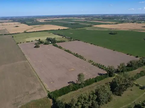 Campo en venta 25ha en San Andres de Giles