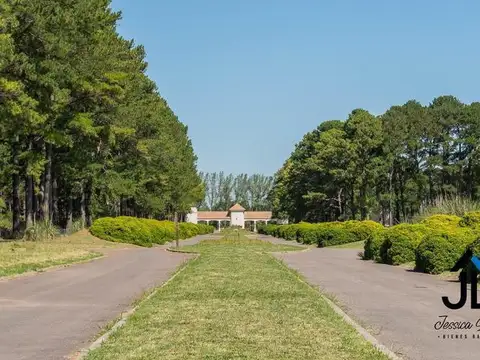 pinares golf country club