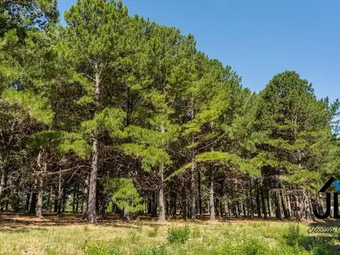 Terreno en Venta 49  mts Fondo