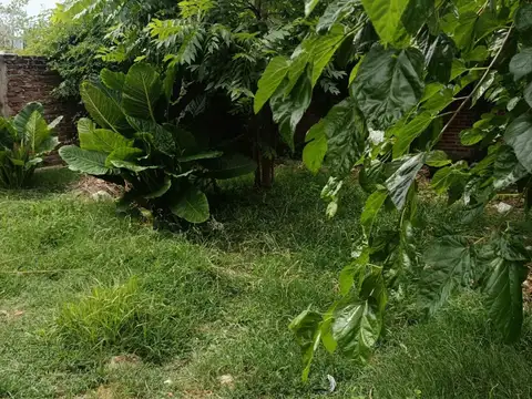 Casa 2 ambientes con 1 baño