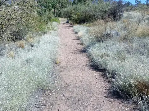 Ruta 82, km 26 Terreno 2