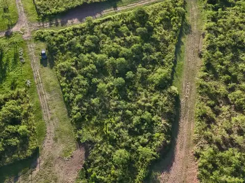 Terreno en Venta de 482,0 m2