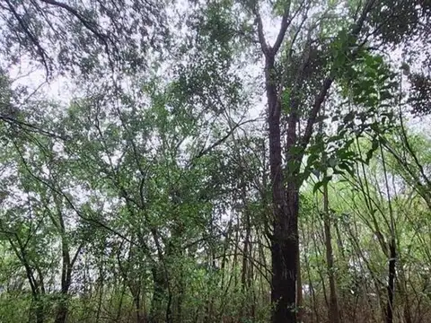 Vendo gran terreno en Valle Hermoso 3800 m 2.