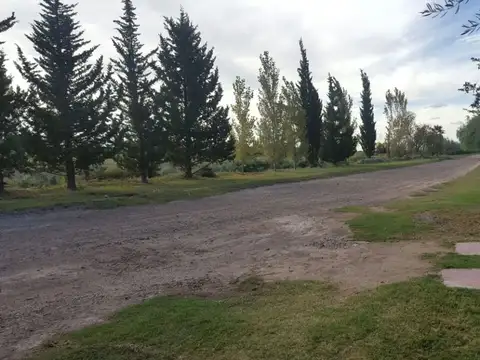 QUINTA 1 HECT CASA CON OLIVOS, BELTRÁN, MAIPÚ.