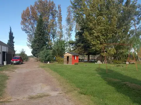 Ruta Provincial 50 800