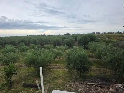 Quinta en Venta en Fray Luis Beltran, USD 105.000