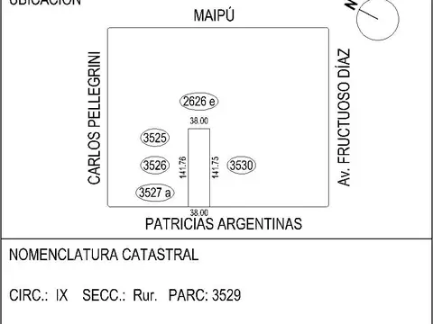 PATRICIAS ARGENTINAS 100