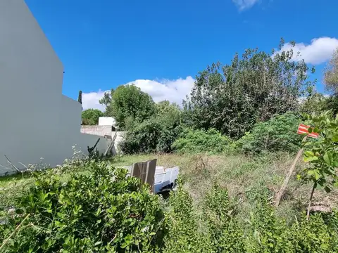 Terreno en Venta 20  mts Fondo