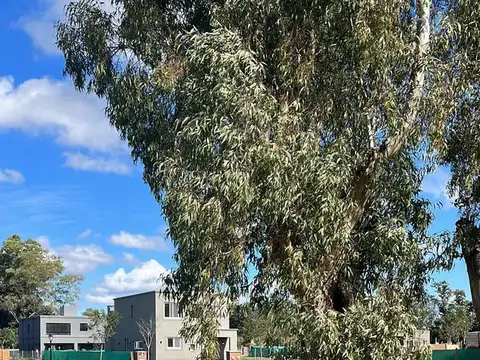 Terreno en Venta 10  mts Fondo