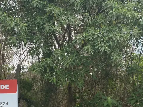Terreno en Venta de 291,0 m2