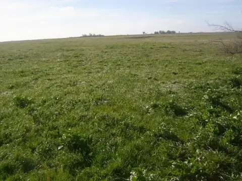 Campo en venta - 5.120.000Mts2 - General Lavalle