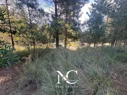 Terreno en Venta de 1000,0 m2